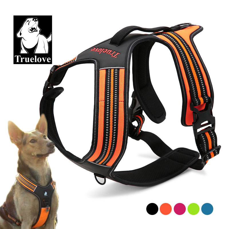 トゥルーラブ スポーツ ナイロン 反射材付き ノープル 犬用 - Outdoor Adventure Xl のレビューと価格